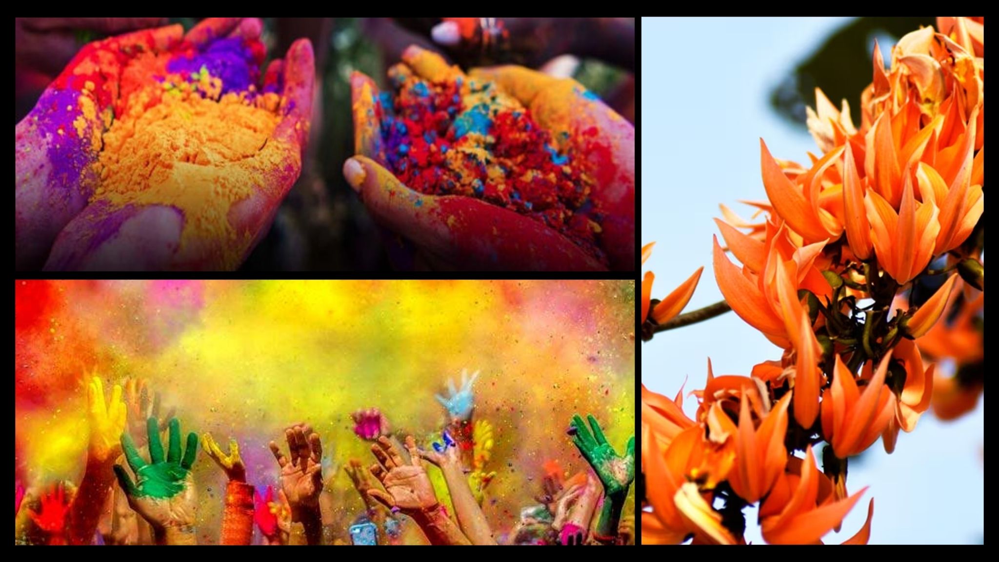 Holi in Gujarat and Its Connection with Kesudo
