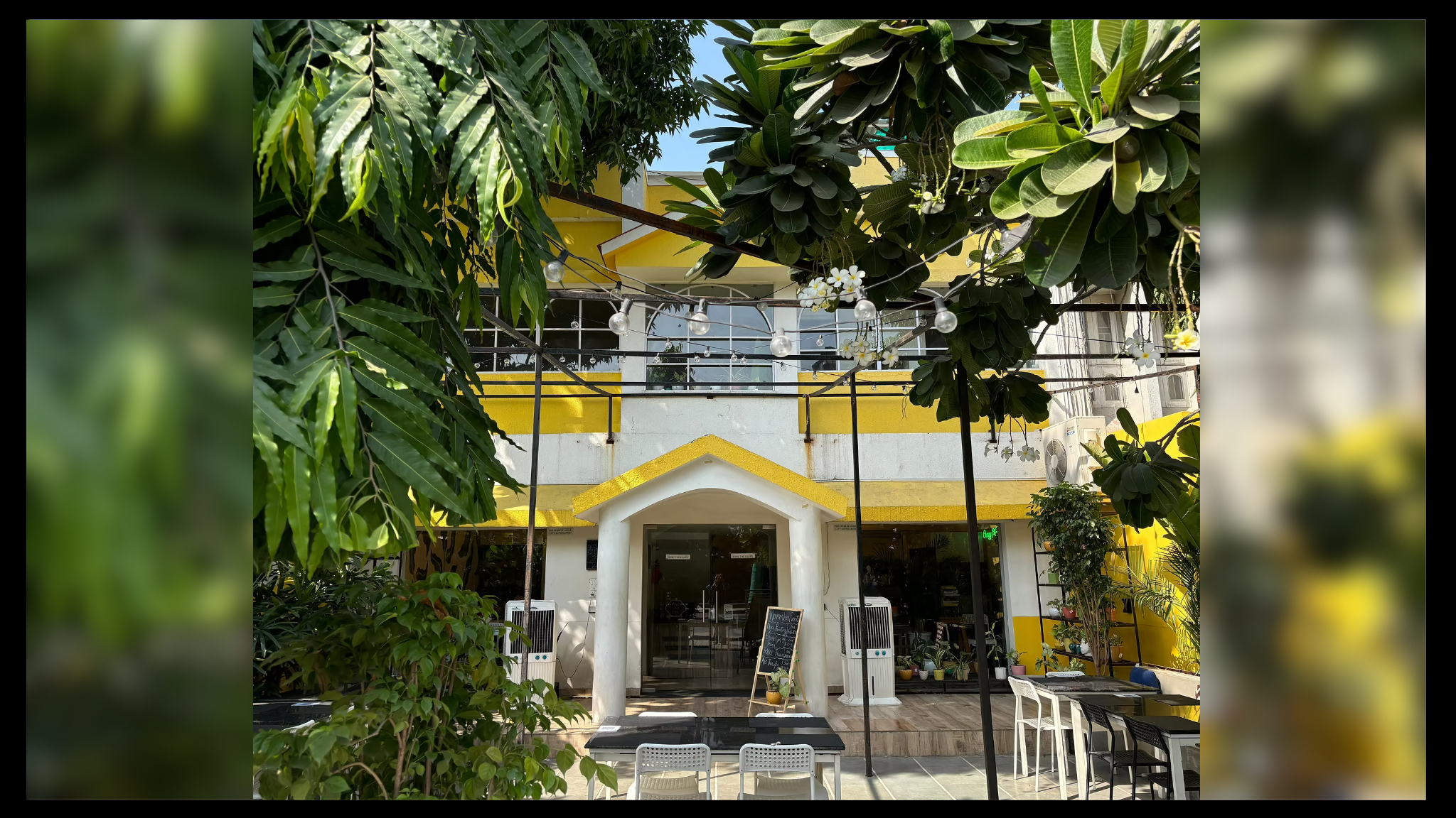 crazy plant lady cafe